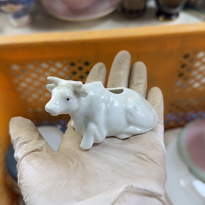 碟开播啦….开播啦