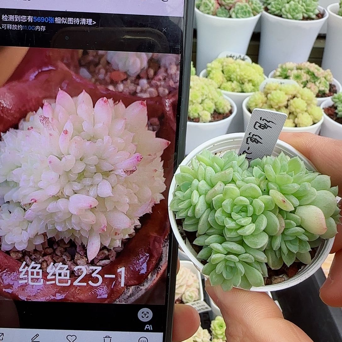 【闪购商品】0510-22（绝绝23-1）