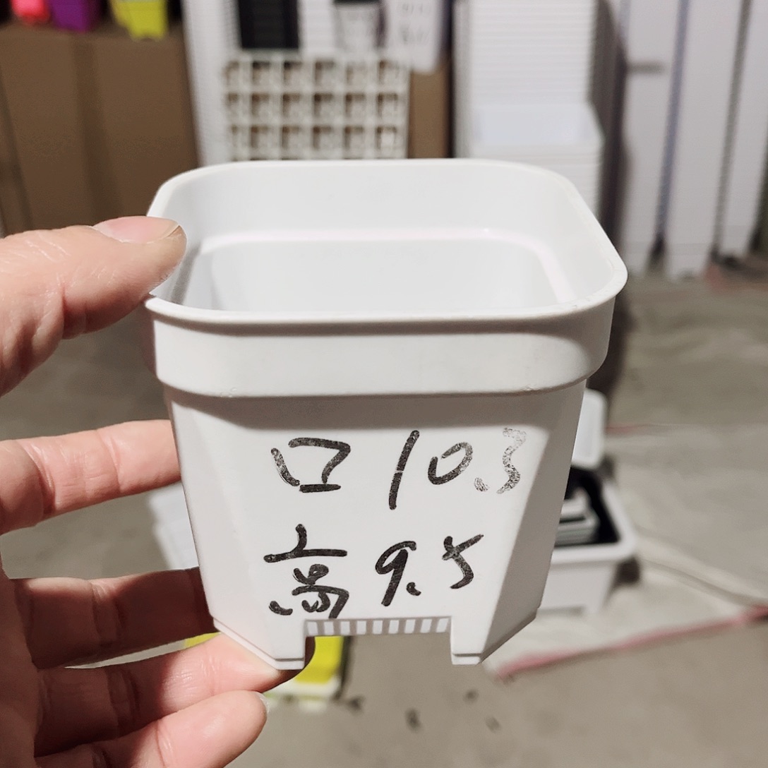 塑料加厚矮胖10方白色10个无托