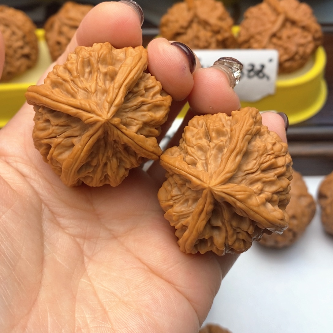 把件文玩核桃43尺玉玺猫头鹰