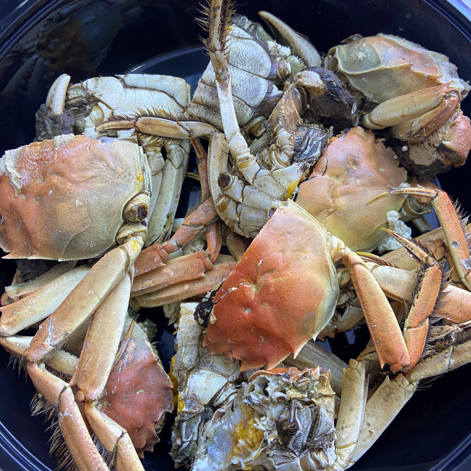 蒸熟三两公河蟹一盒