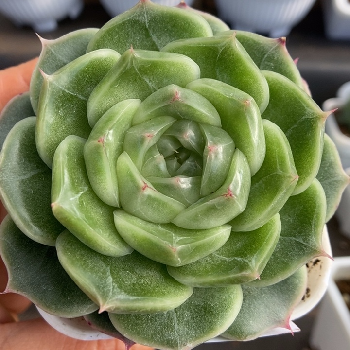 一物一拍一物一拍1111-235