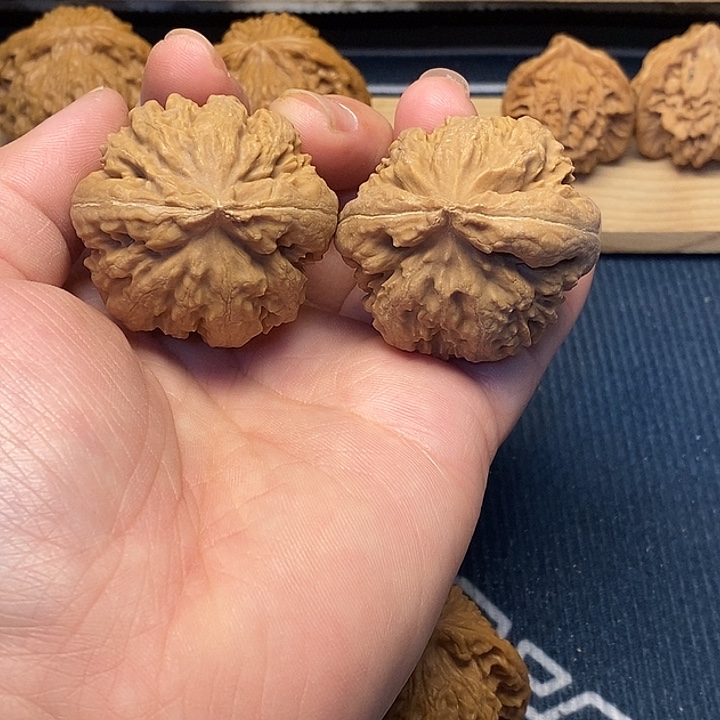 核桃42全品霸王龙福利核桃