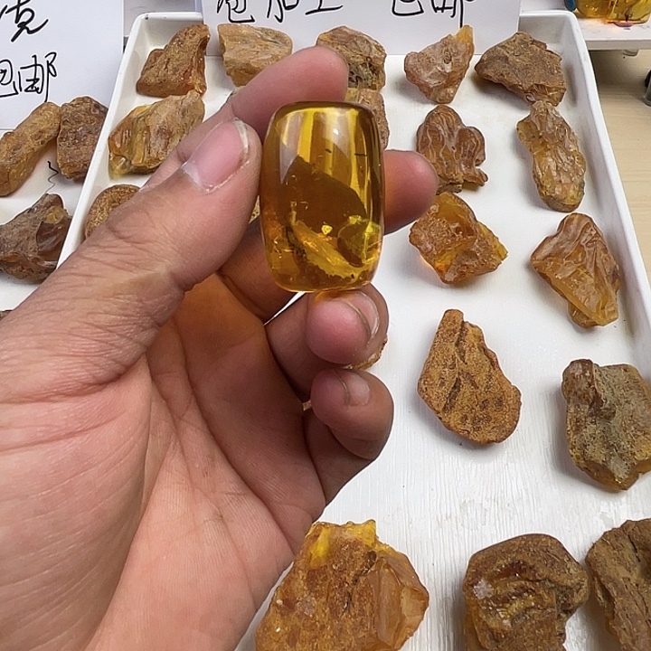 征***服琥珀未镶嵌裸石天然琥珀