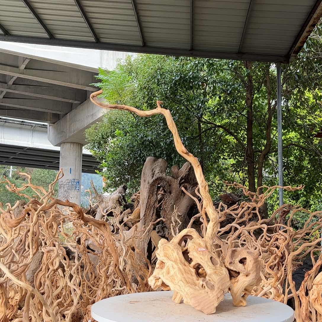 围***茶木我是一个很好的人我真的