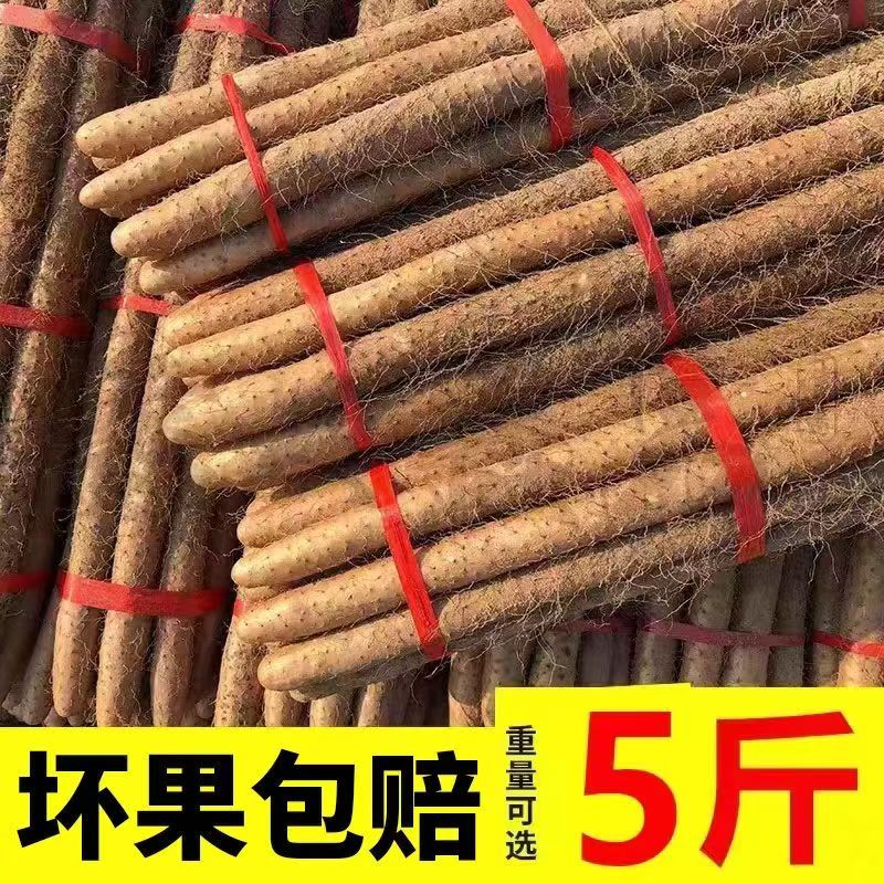 北京本地铁棍山药新鲜上市