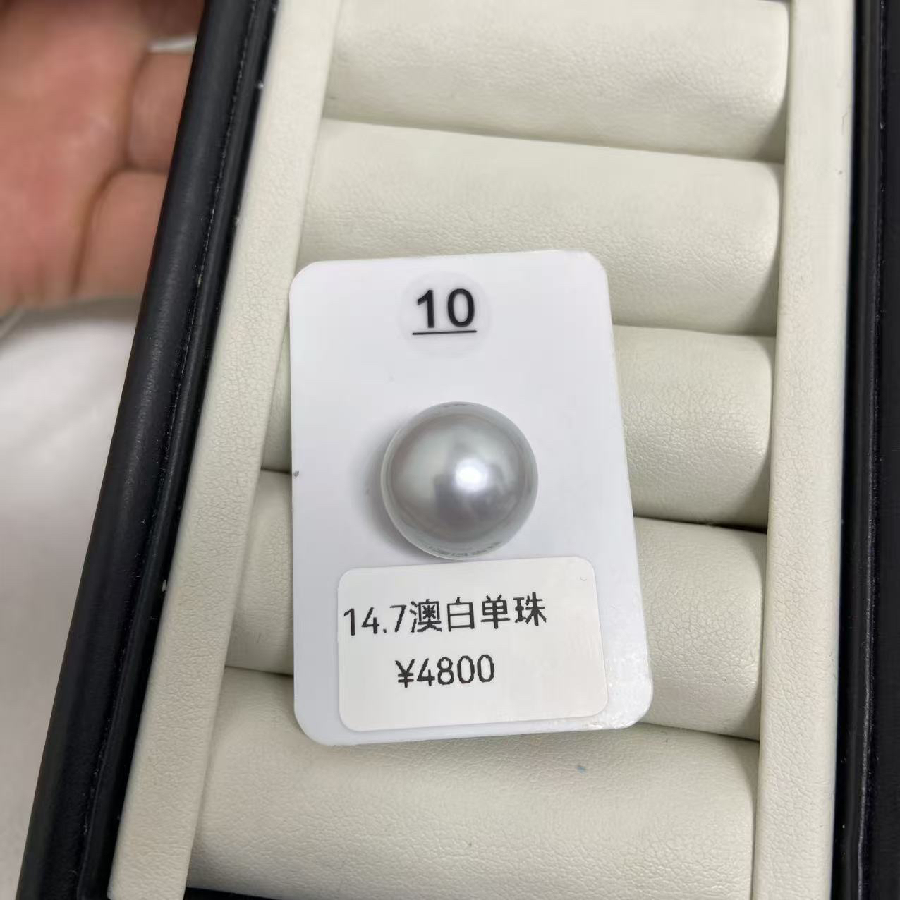 14.7海水澳白珍珠