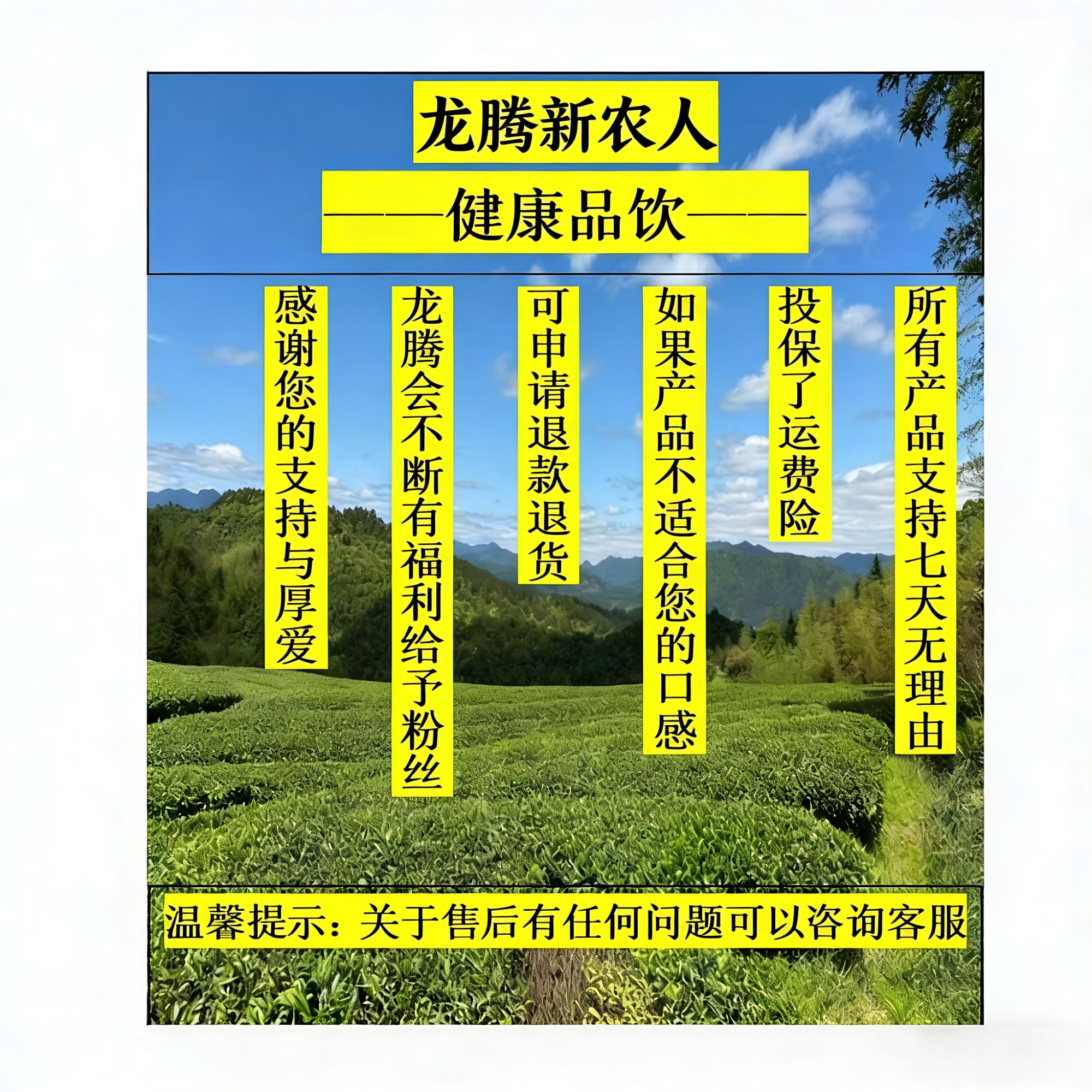 龙腾 藏 红参养身茶-核心产区-产品以直播间为准