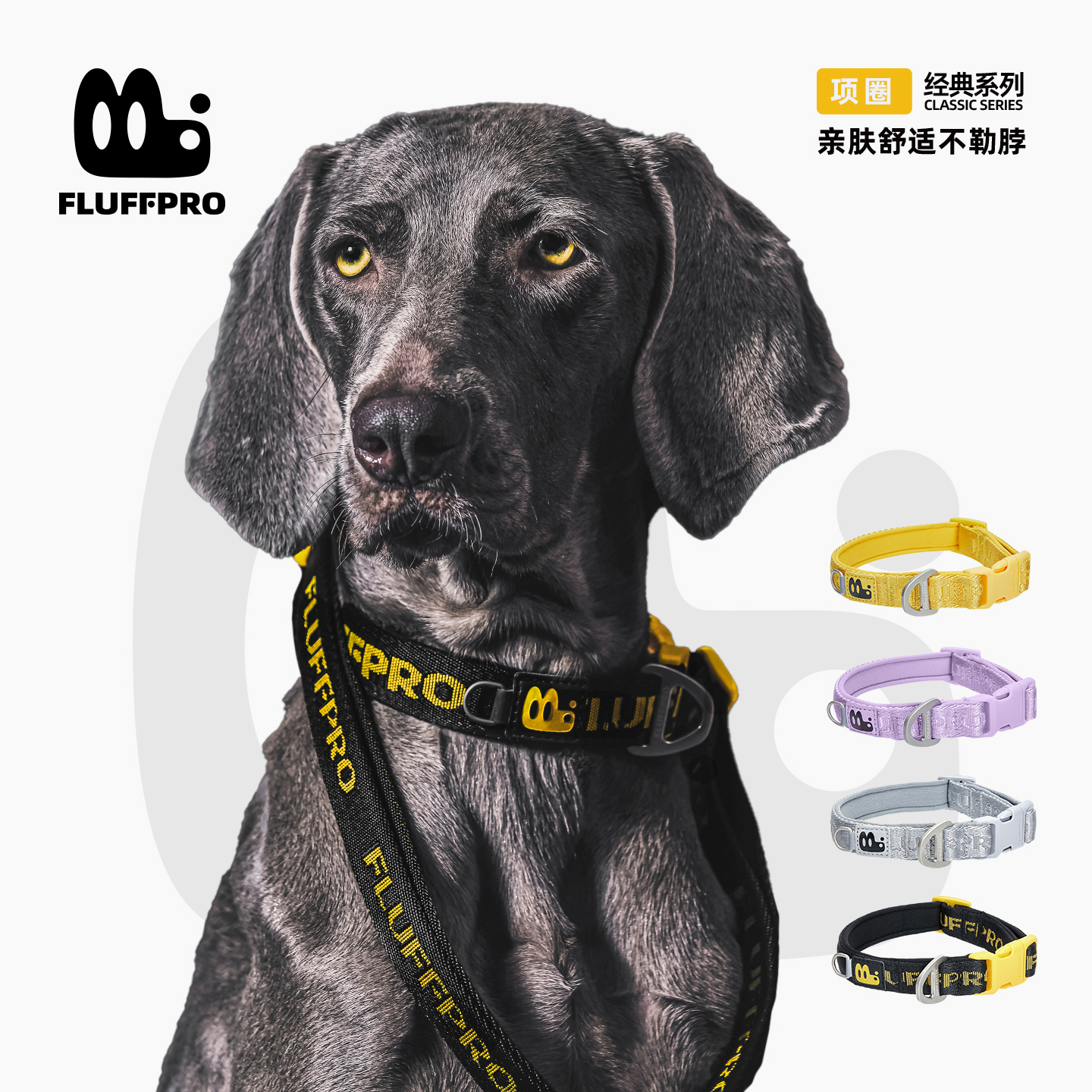 FLUFFPRO弗洛普经典系列宠物项圈