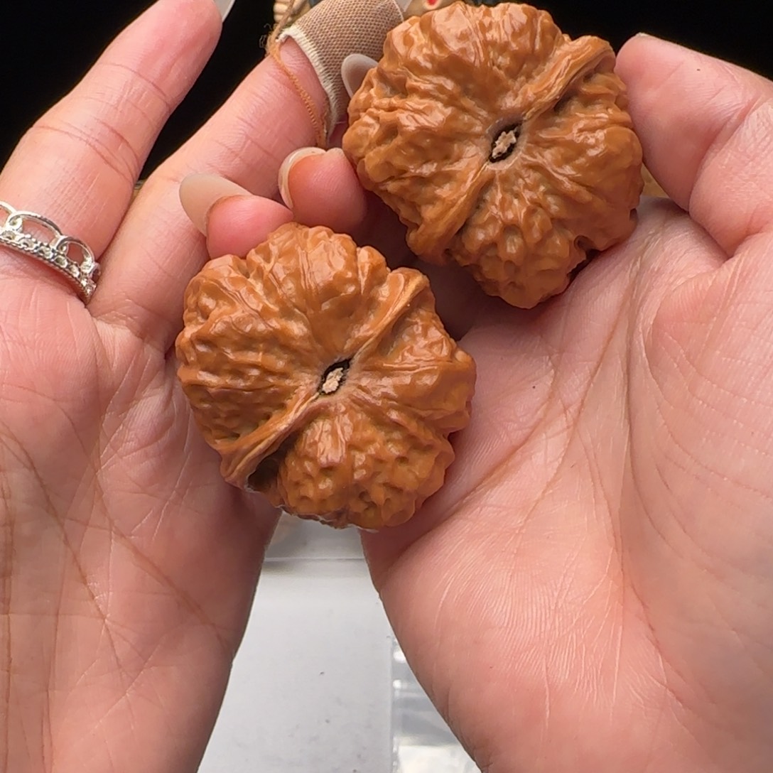 碧***水大叶紫檀（黑酸枝木类）我的小可爱06