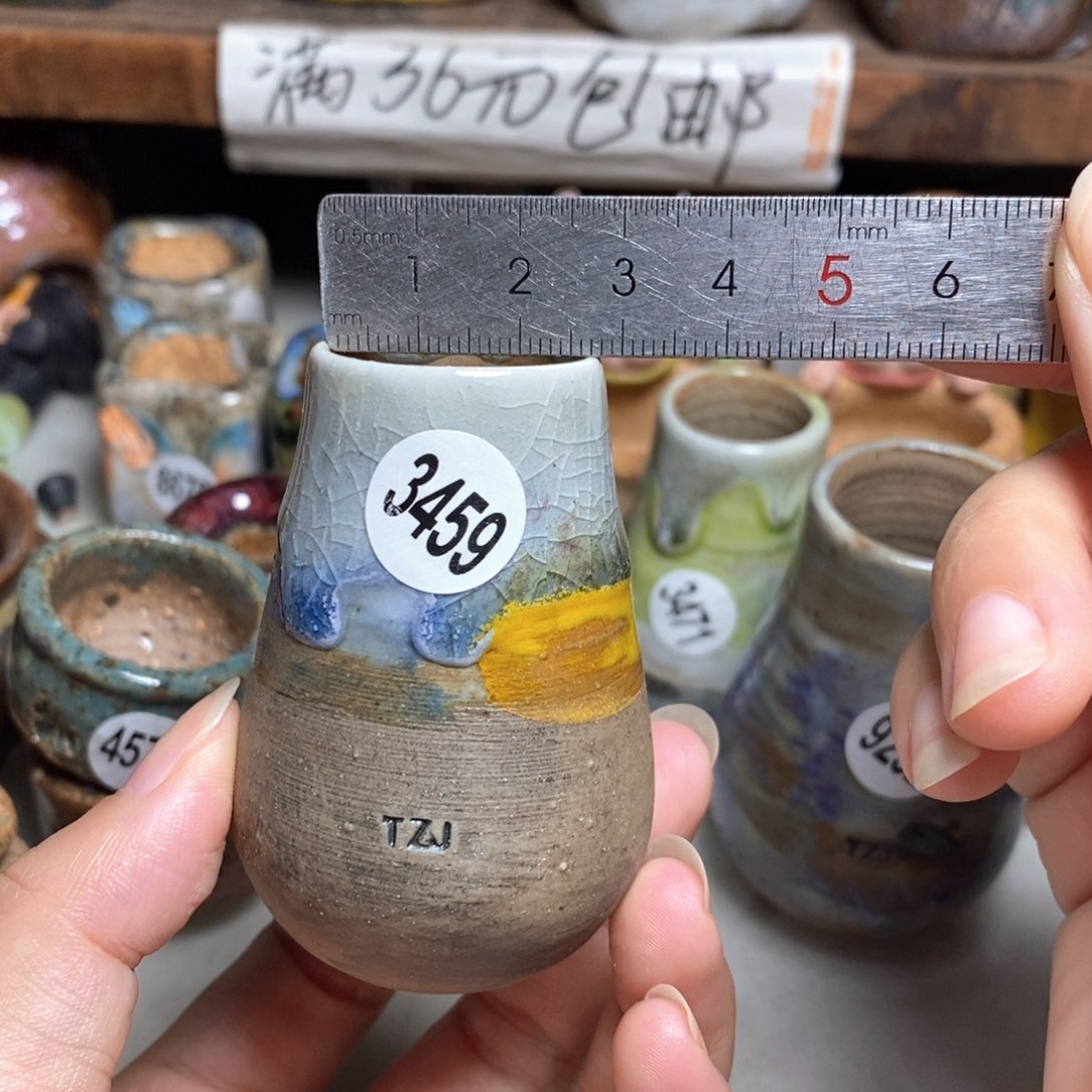 拍5送一个小礼物