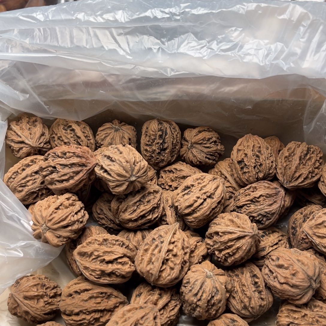 手串文玩核桃核桃13