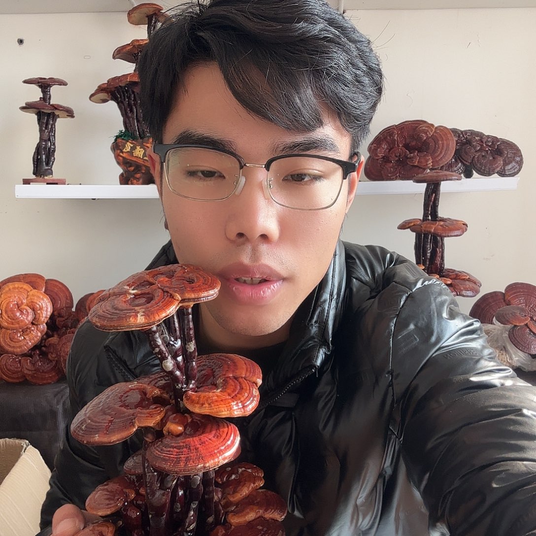 墨***痕无花朵1111111111