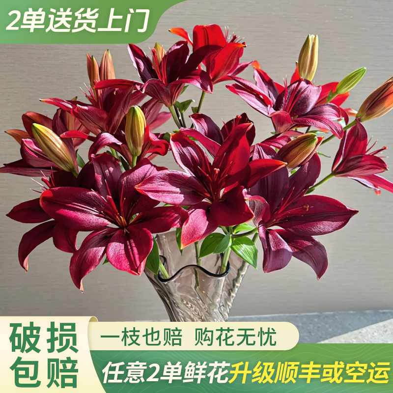 【大聪明卖花】黑石亚百合-任意2单鲜花包邮发货后不支持退款