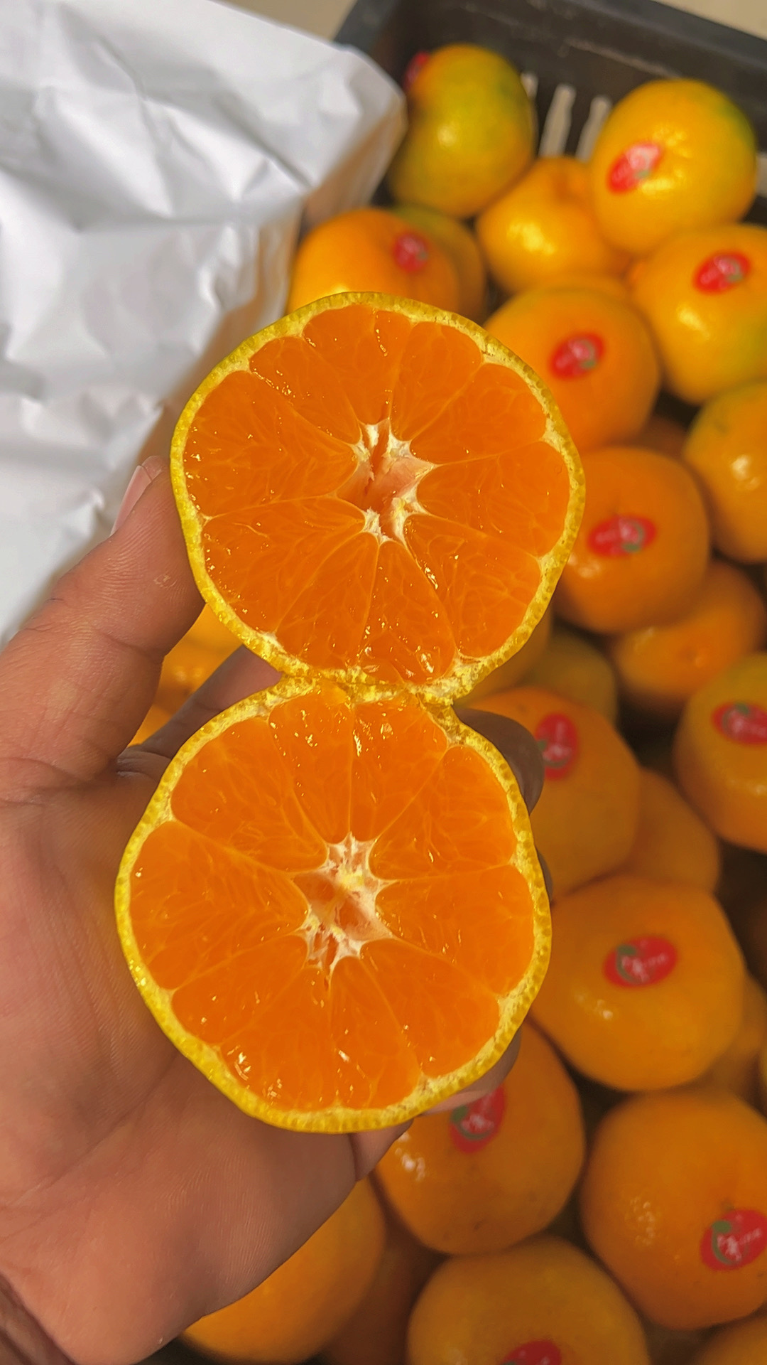 云南红肉蜜桔好吃5斤左右