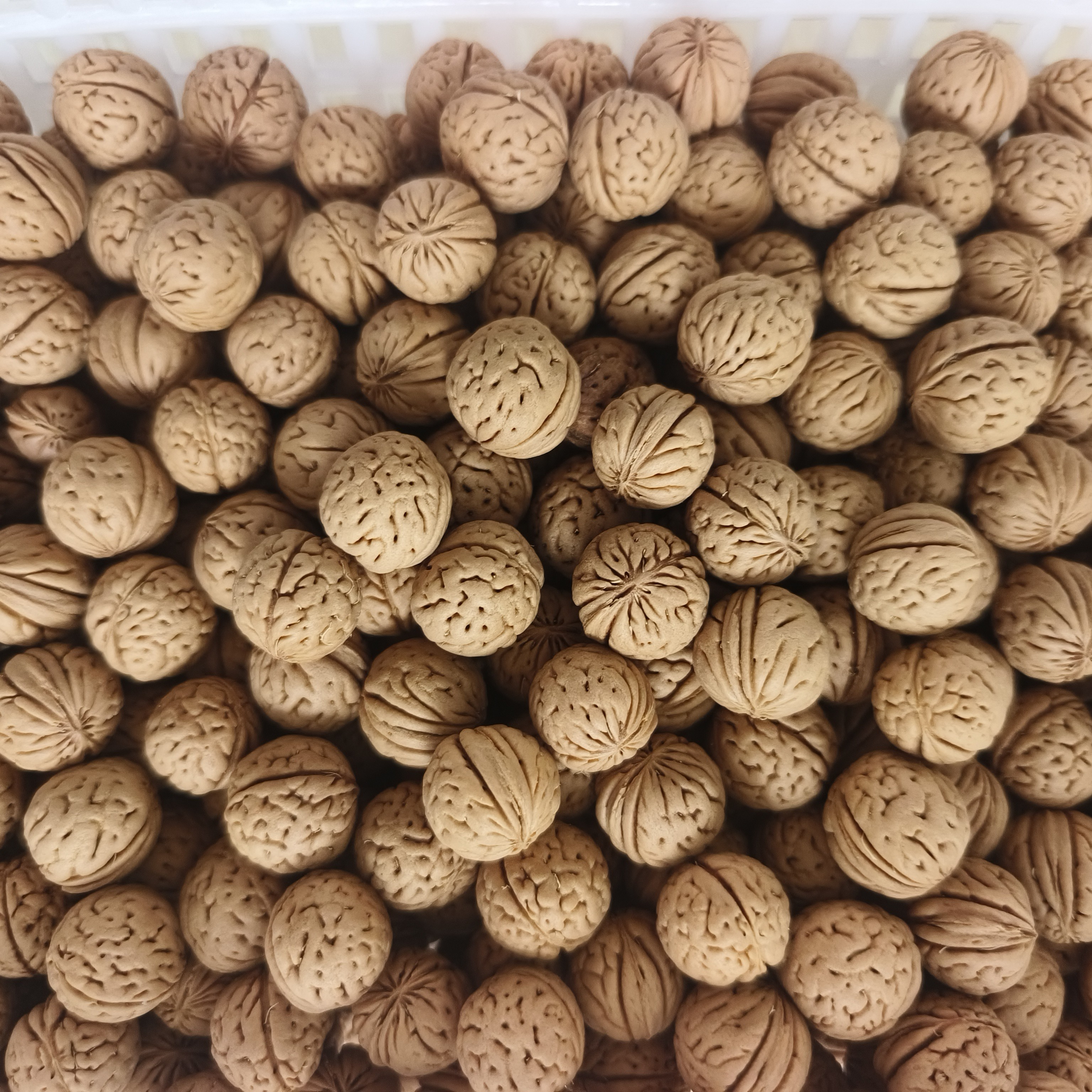 纯野生桃核散籽天然桃核散籽各种品相都有可自制手串