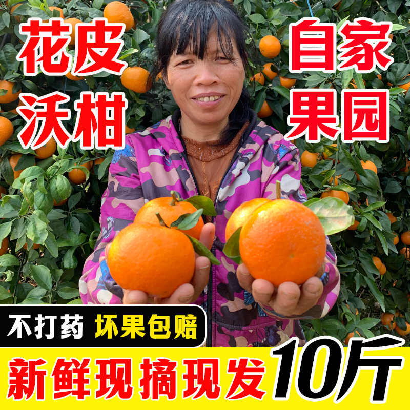 自家果园10斤新鲜现摘现发正宗花皮沃柑广西武鸣应季水果皮薄多汁