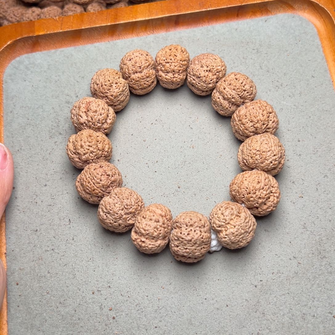 菩提14看金刚菩提熊猫菠萝蜜22