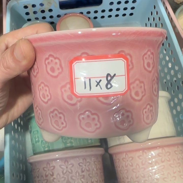 《所有单满15发（花盆）》11×8