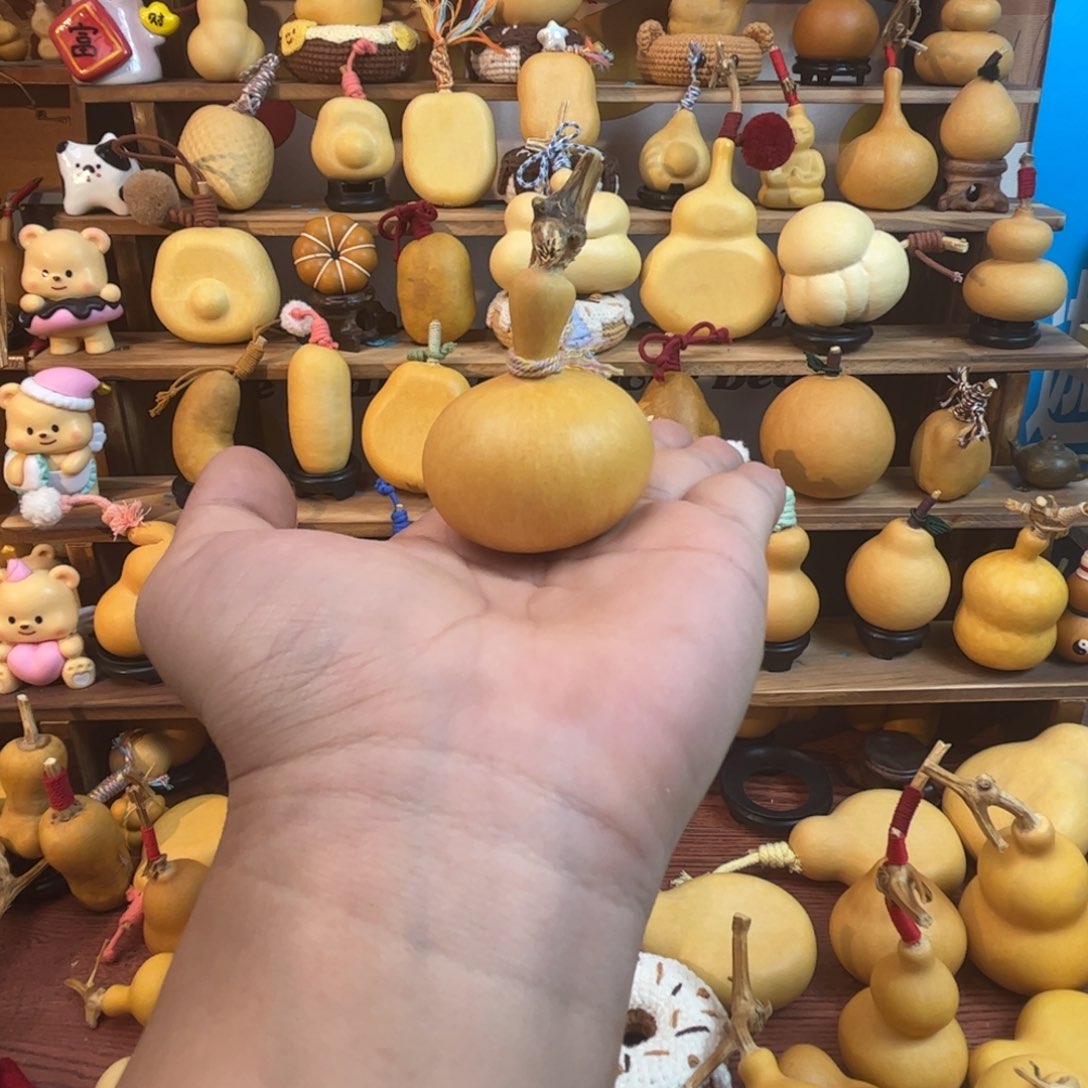 ?****?你在干嘛呀！葫芦岛市连山区！葫芦