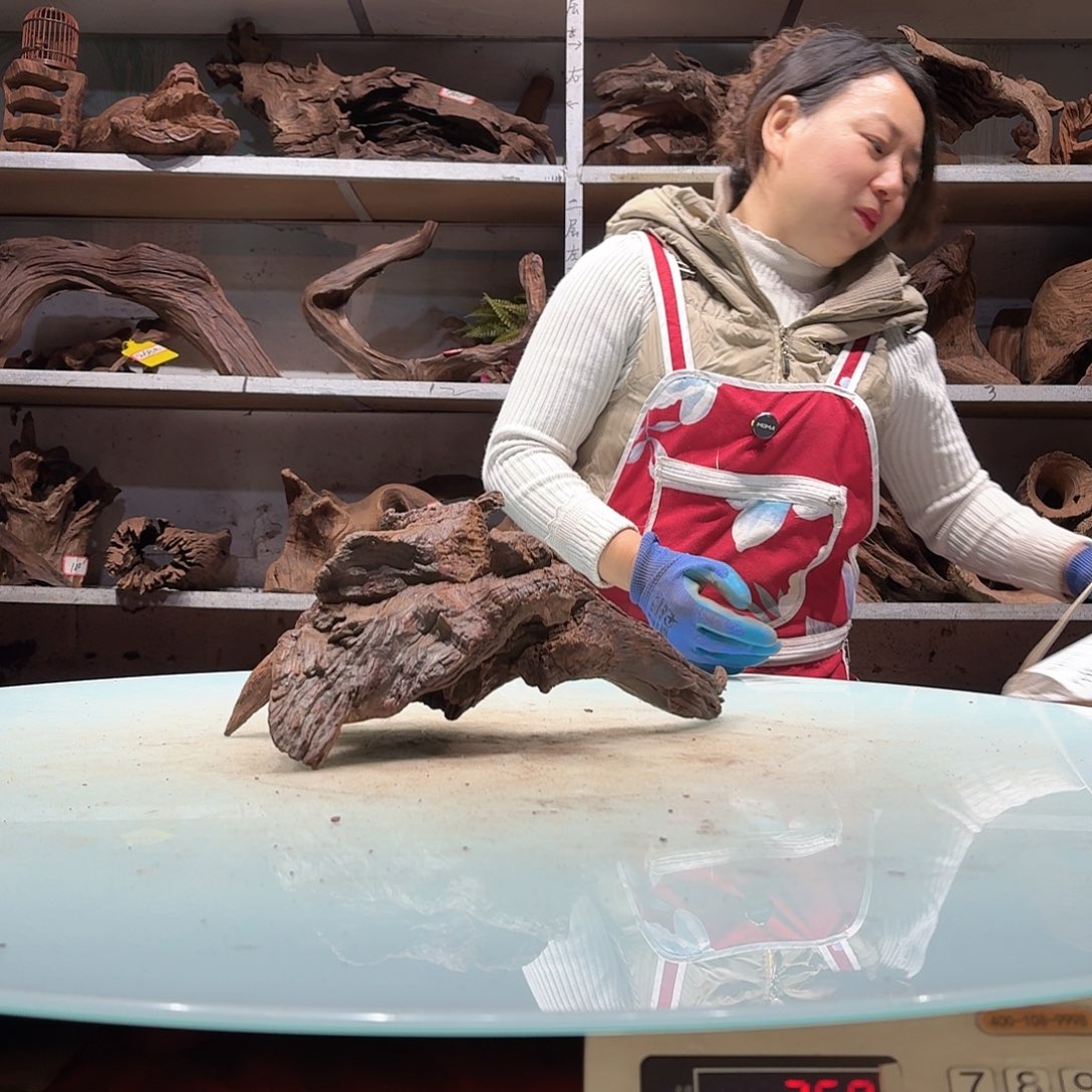 倍诸沉木，不包损必褪色杨****）5198