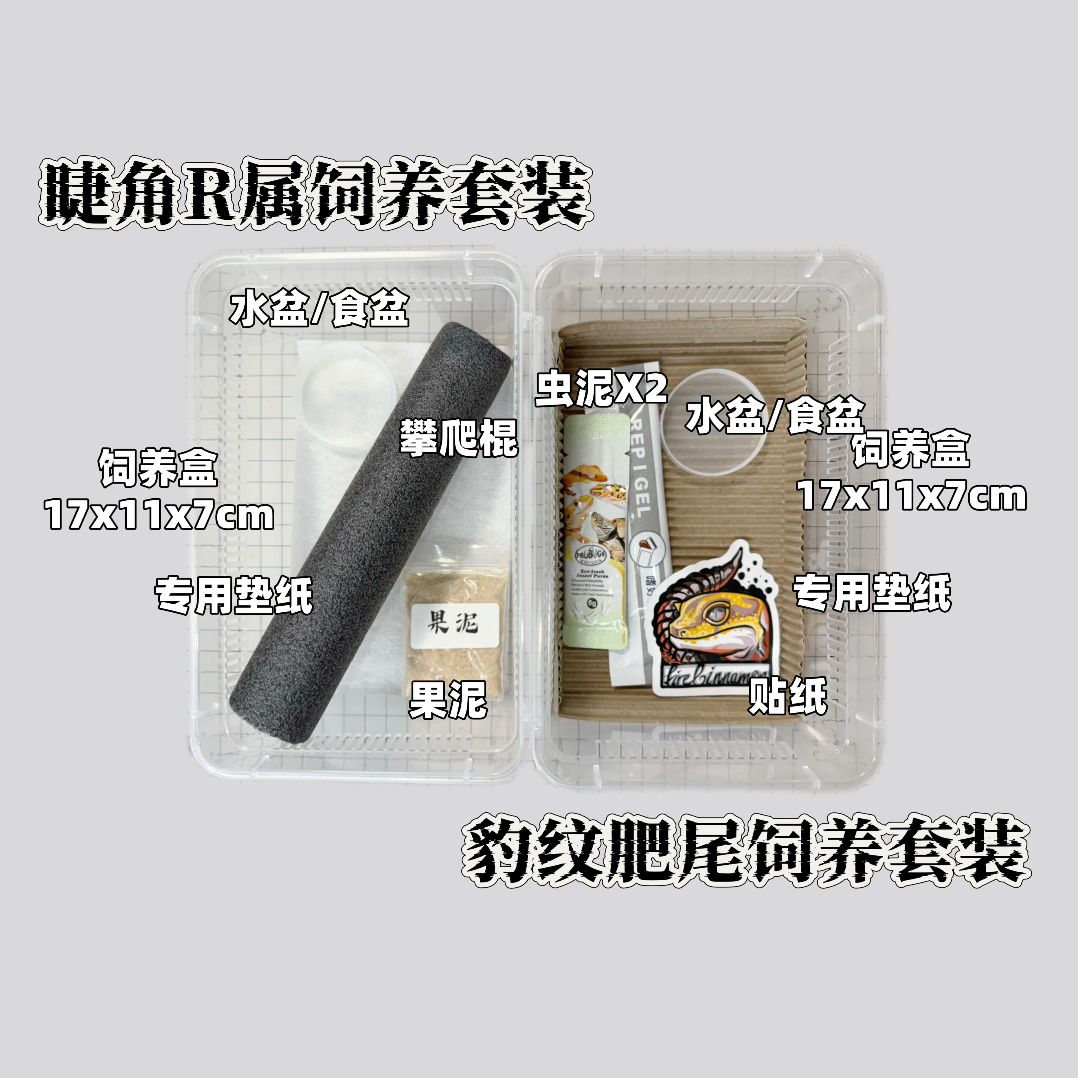基本简易饲养套餐（睫角R属守宫/肥尾豹纹守宫任选一）守宫饲养套装