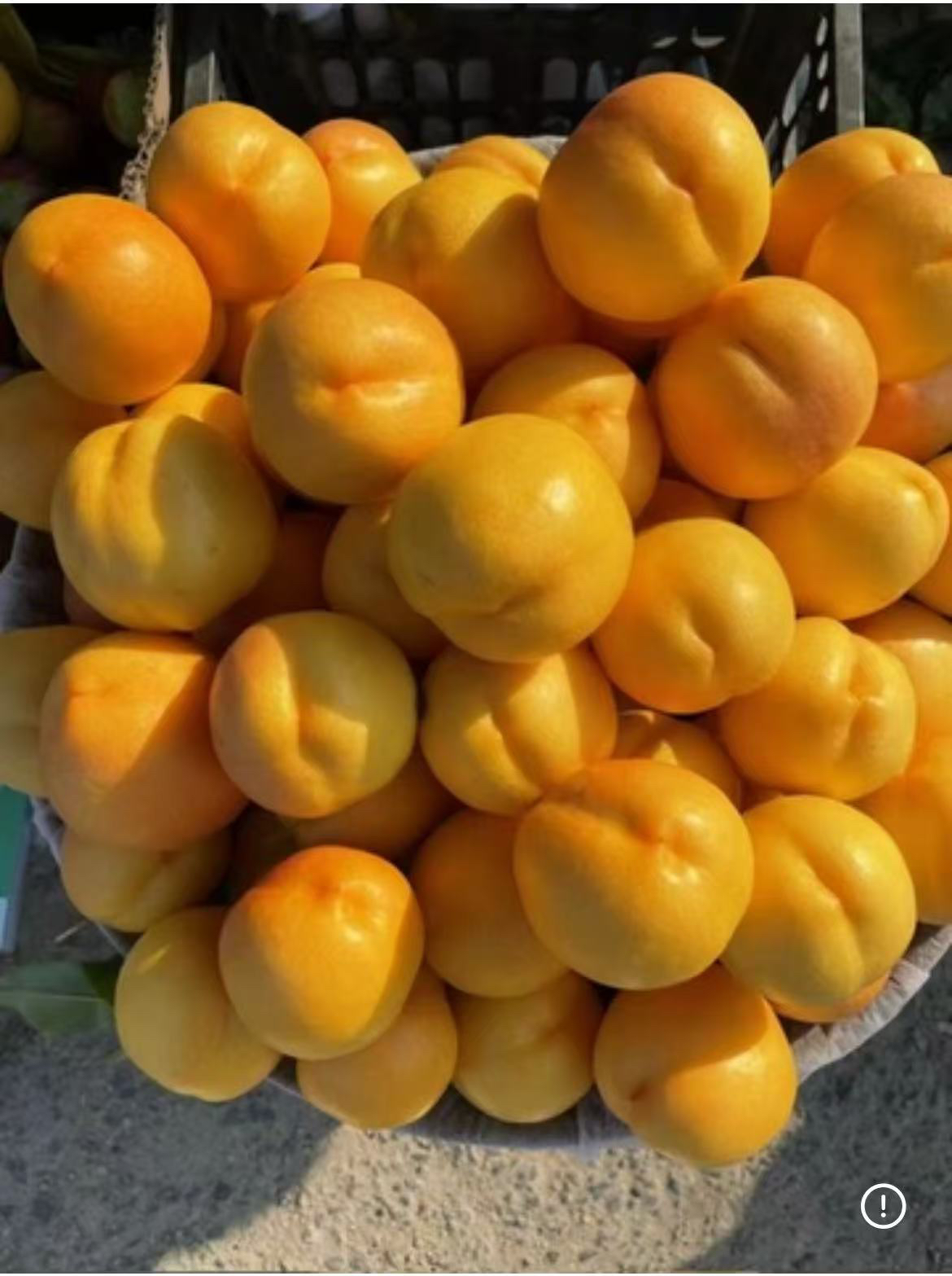 黄油桃来啦5斤装顺丰包邮