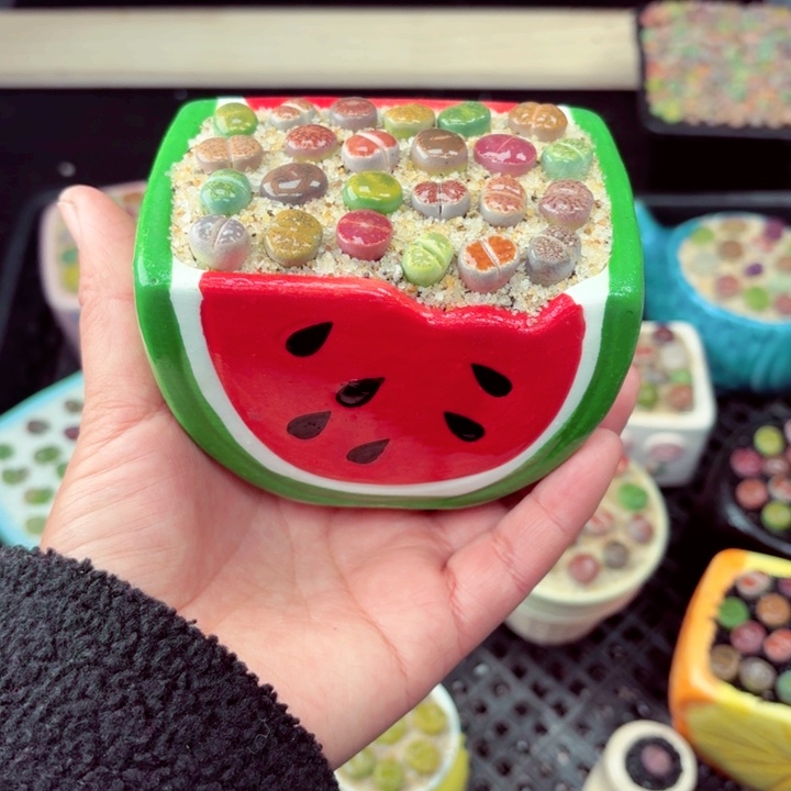 518零下地区记得拍保温箱满18包邮