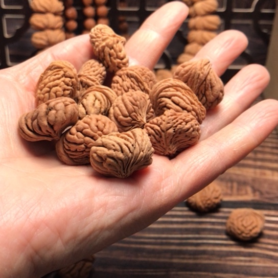 桃核手串秋**红五爪金龙散籽偏脊2430