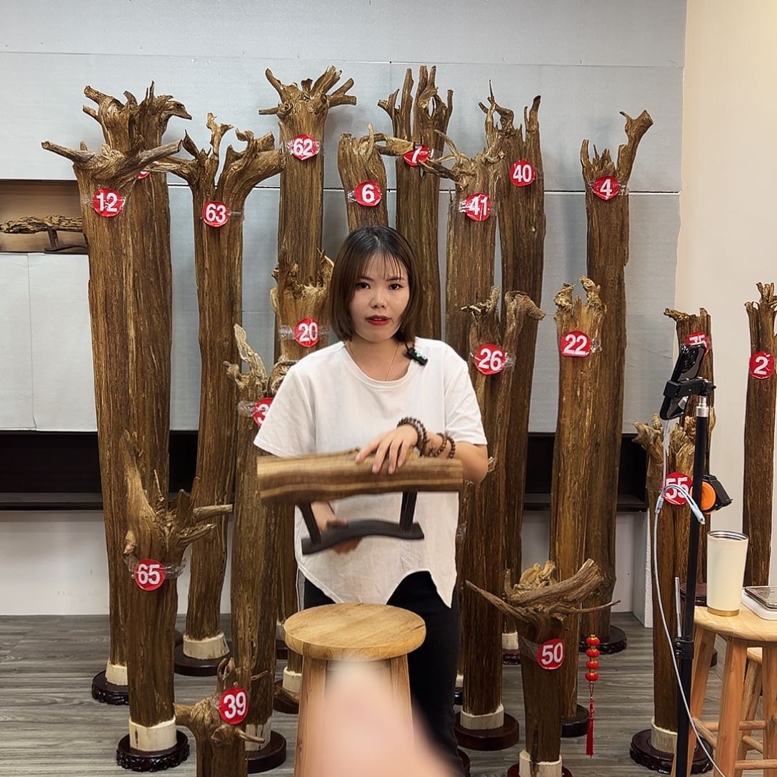 摆件沉香沉香摆件