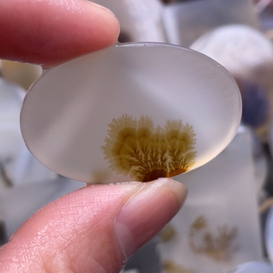 玛瑙/玉髓吊坠(赠链)未镶嵌