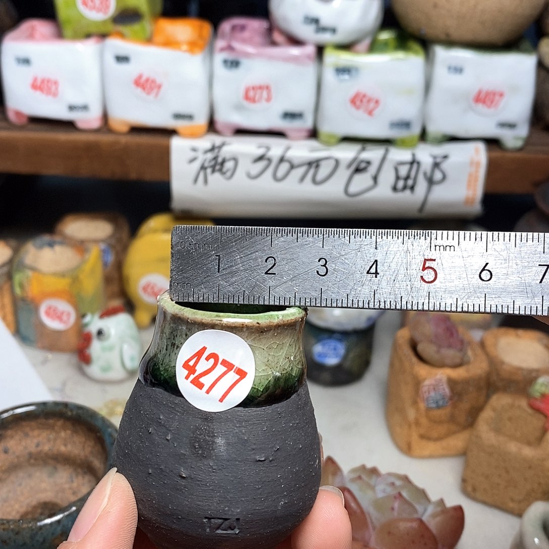 红陶拍5送一个小