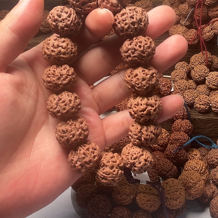 金刚菩提手串老树20