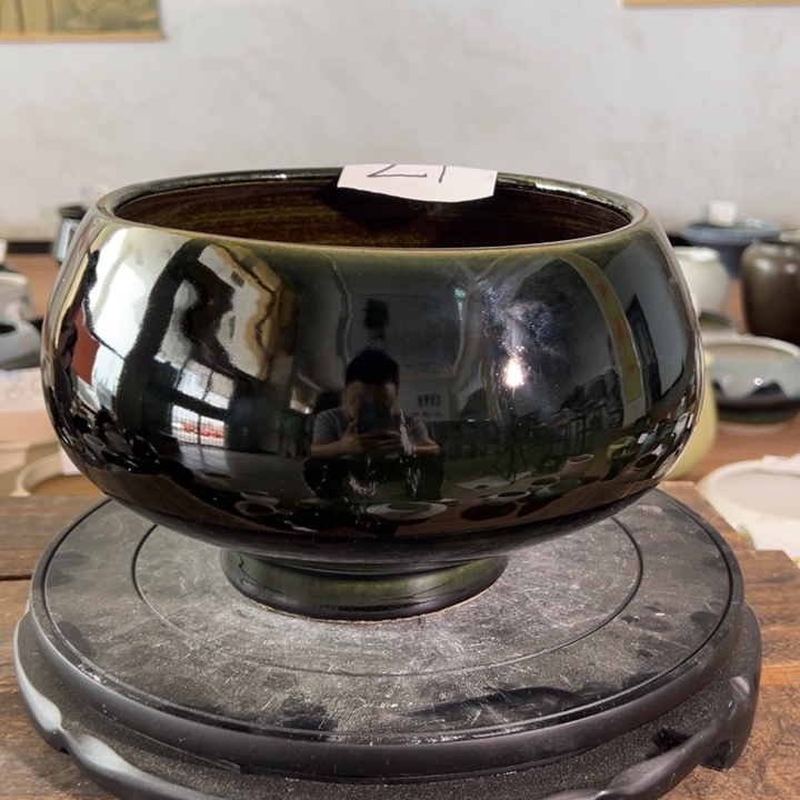 下午兔兔兔执照执照执照我