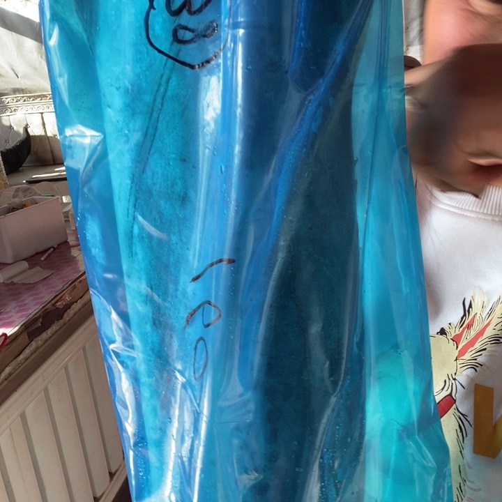 中国大陆渤海湾野生燕鲅鱼38号