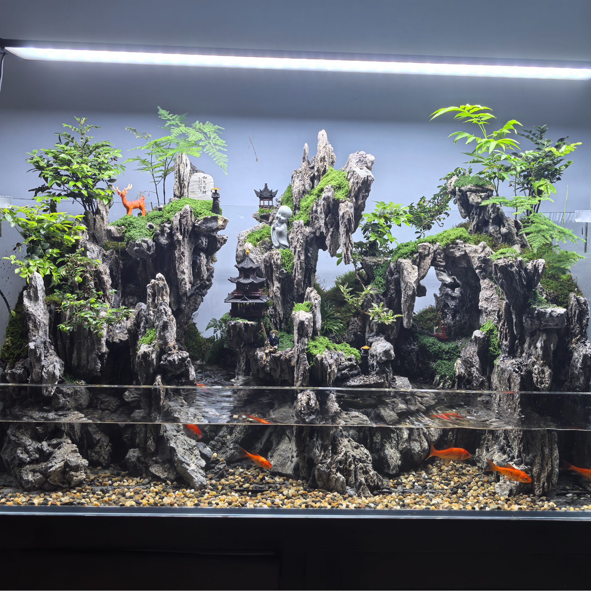 1.2创意水陆景观生态缸山水造景植物室内桌面水陆缸造景全套出售