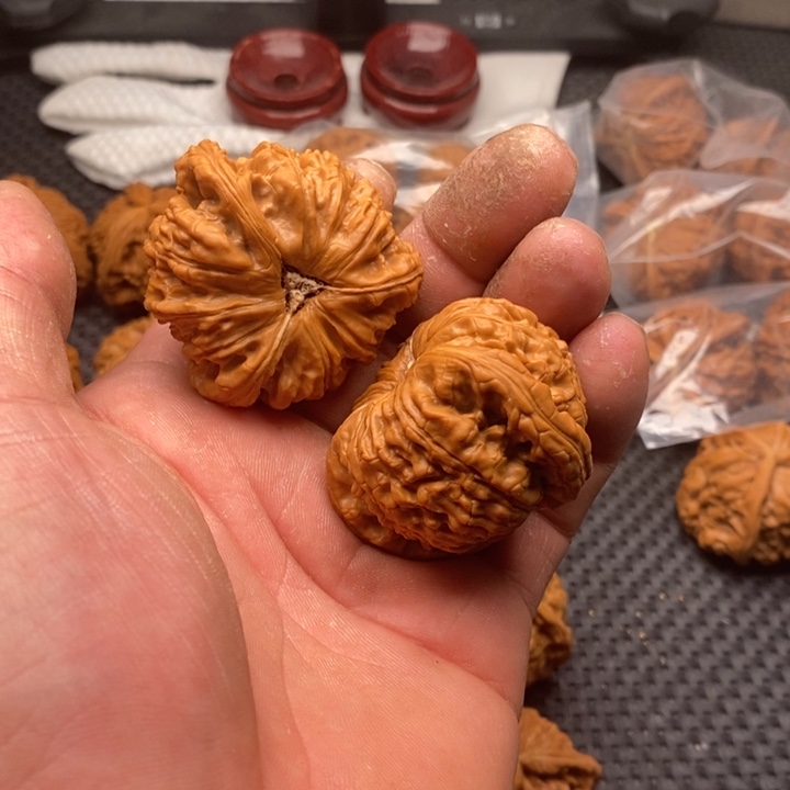 核桃把件家**乐拼接白狮子6