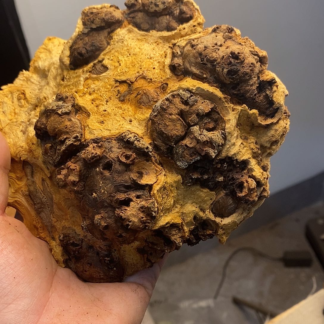 新***业荔枝木荔枝木香炉
