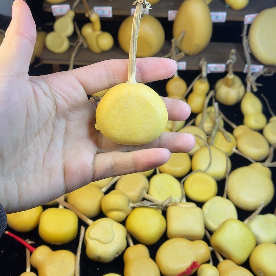 小***0小梨扁一物一拍漏