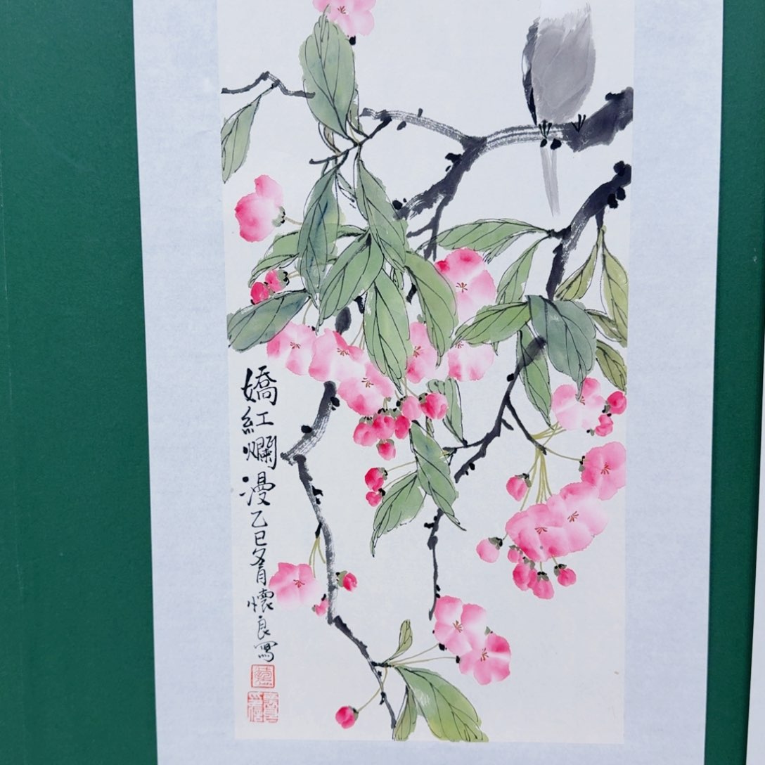 国画我不敢看电视你