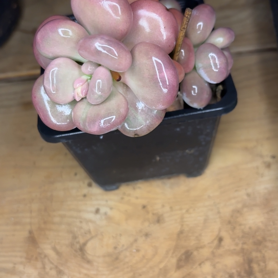 小***…啦啦啦啦啦啦啦啦啦啦啦