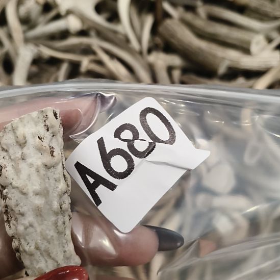 ༄***࿐鹿角鹿角鹿角鹿角鹿