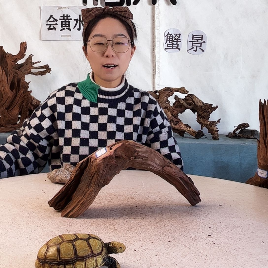 周末福利爬宠造景