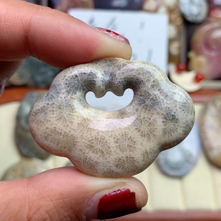 硅化珊瑚（珊瑚玉）颈饰未镶嵌