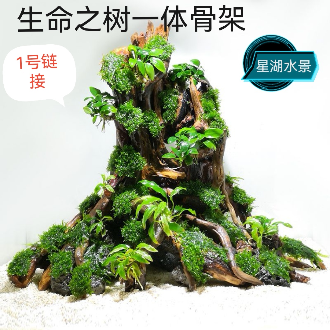 生命之树，莫丝树.水榕树拱桥沉木生命之树桩鱼缸造景摆件专业设计