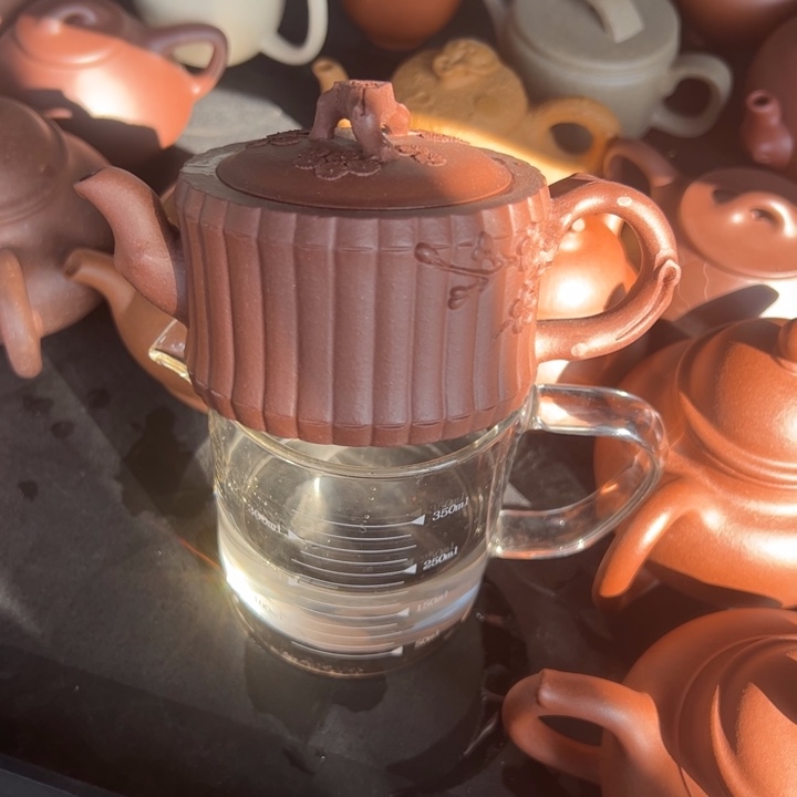 紫砂开播福利小多只100cc五彩段一捆竹200cc