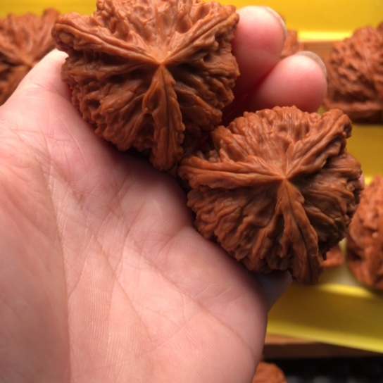 文玩核桃吊坠核桃