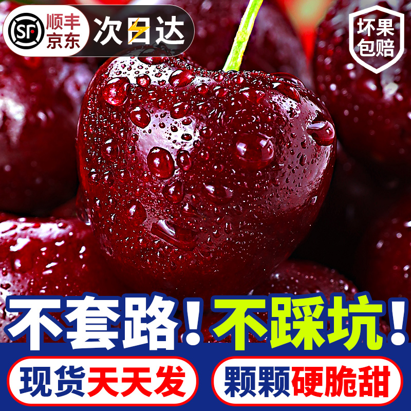 25宠粉【明天到】智利进口车厘子黑车（2J-5J）2-5斤当季新鲜水果