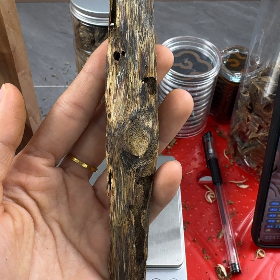 香料绿奇楠虫漏白棋19克