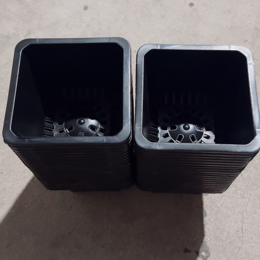 塑料福利款9方黑色盆50个无托